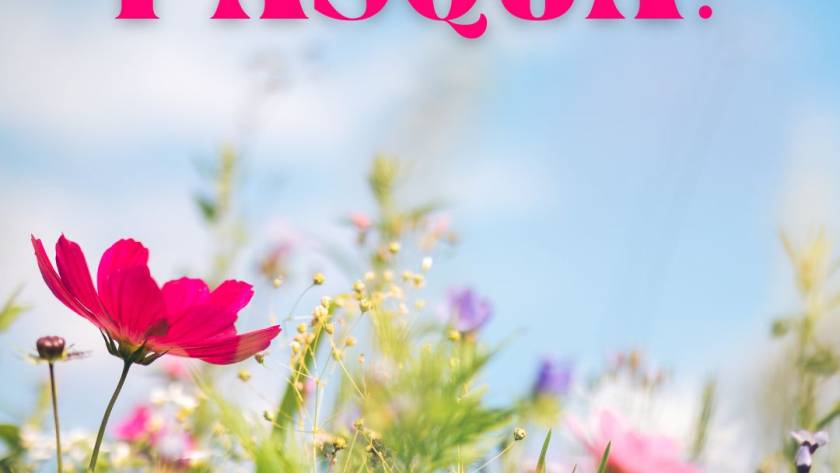 Buona Pasqua e buona Pasquetta a tutti!
Pronti alla griglia!...