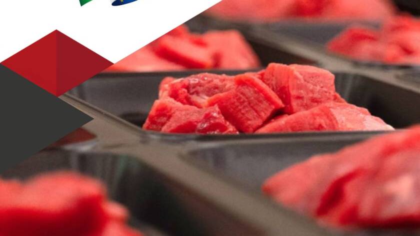 Bencarni S.p.A. offre al cliente un servizio completo e flessibile, oltre alla t...